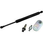 Order Lift Support by STABILUS - 5Z439569 For Your Vehicle