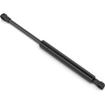 Order Lift Support by STABILUS - 5B115208 For Your Vehicle