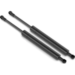 Order Lift Support by STABILUS - 5B121653 For Your Vehicle