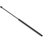 Order Lift Support by STABILUS - 5B189567 For Your Vehicle