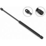 Order Lift Support by STABILUS - 5B210599 For Your Vehicle