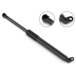 Order Lift Support by STABILUS - 5B9283HM For Your Vehicle