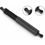 Order Lift Support by STABILUS - 5C437135 For Your Vehicle