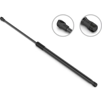 Order Lift Support by STABILUS - 6B140088 For Your Vehicle