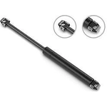 Order Lift Support by STABILUS - 6B030215 For Your Vehicle