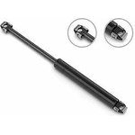 Order Lift Support by STABILUS - 6B232109 For Your Vehicle