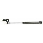 Order Lift Support by STRONG ARM - 4174R For Your Vehicle