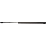 Order STRONG ARM - 6017 - Lift Support For Your Vehicle