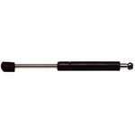 Order Lift Support by STRONG ARM - 6161 For Your Vehicle