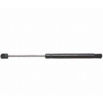 Order Lift Support by STRONG ARM - 6185 For Your Vehicle