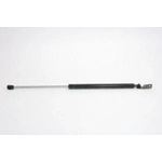 Order Lift Support by STRONG ARM - 6203L For Your Vehicle
