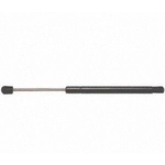 Order STRONG ARM - 6267 - Lift Support For Your Vehicle