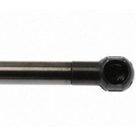 Order Lift Support by STRONG ARM - 6295 For Your Vehicle