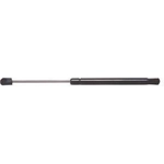 Order Lift Support by STRONG ARM - 6352 For Your Vehicle