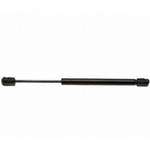 Order Lift Support by STRONG ARM - 6405 For Your Vehicle
