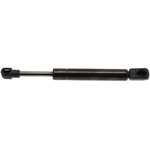 Order STRONG ARM - 6425 - Lift Support For Your Vehicle