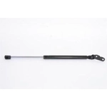 Order Lift Support by STRONG ARM - 6509R For Your Vehicle