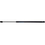 Order STRONG ARM - 7012 - Liftgate Lift Support For Your Vehicle