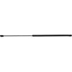 Order Lift Support by STRONG ARM - 7170 For Your Vehicle
