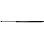 Order STRONG ARM - B4855 - Liftgate Lift Support For Your Vehicle