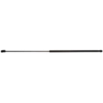 Order STRONG ARM - B6454 - Hood Lift Support For Your Vehicle