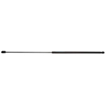 Order STRONG ARM - B7150 - Hood Lift Support For Your Vehicle