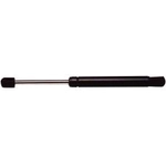 Order Lift Support by STRONG ARM - B7351 For Your Vehicle