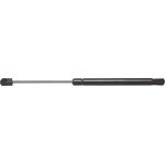 Order Lift Support by STRONG ARM - B7396 For Your Vehicle