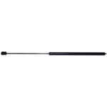 Order STRONG ARM - C6006L - Hood Lift Support For Your Vehicle