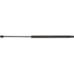 Order Lift Support by STRONG ARM - C7014 For Your Vehicle