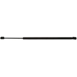 Order STRONG ARM - C7061 - Liftgate Lift Support For Your Vehicle