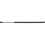 Order STRONG ARM - C7062 - Hood Lift Support For Your Vehicle