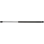 Order Lift Support by STRONG ARM - C7073 For Your Vehicle