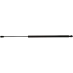 Order STRONG ARM - C7124 - Liftgate Lift Support For Your Vehicle