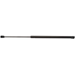 Order STRONG ARM - C7134 - Trunk Lid Lift Support For Your Vehicle