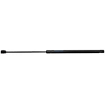 Order STRONG ARM - C7212 - Lift Support For Your Vehicle
