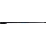 Order Lift Support by STRONG ARM - C7314R For Your Vehicle