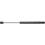 Order Lift Support by STRONG ARM - C7344 For Your Vehicle