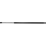 Order Lift Support by STRONG ARM - C7399 For Your Vehicle