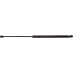Order Lift Support by STRONG ARM - C7408 For Your Vehicle