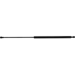 Order Lift Support by STRONG ARM - C7418 For Your Vehicle