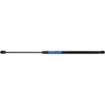 Order Lift Support by STRONG ARM - C7429 For Your Vehicle