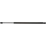 Order Lift Support by STRONG ARM - C7433 For Your Vehicle
