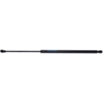 Order Lift Support by STRONG ARM - C7442 For Your Vehicle