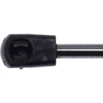 Order Lift Support by STRONG ARM - C7444 For Your Vehicle