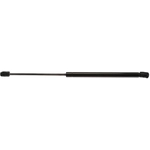 Order STRONG ARM - D6778 - Liftgate Lift Support For Your Vehicle
