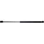 Order Lift Support by STRONG ARM - D7025 For Your Vehicle