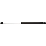 Order STRONG ARM - D7143 - Liftgate Lift Support For Your Vehicle