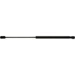 Order Lift Support by STRONG ARM - D7173 For Your Vehicle