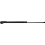 Order Lift Support by STRONG ARM - D7331R For Your Vehicle